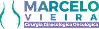 Logo Marcelo Vieira